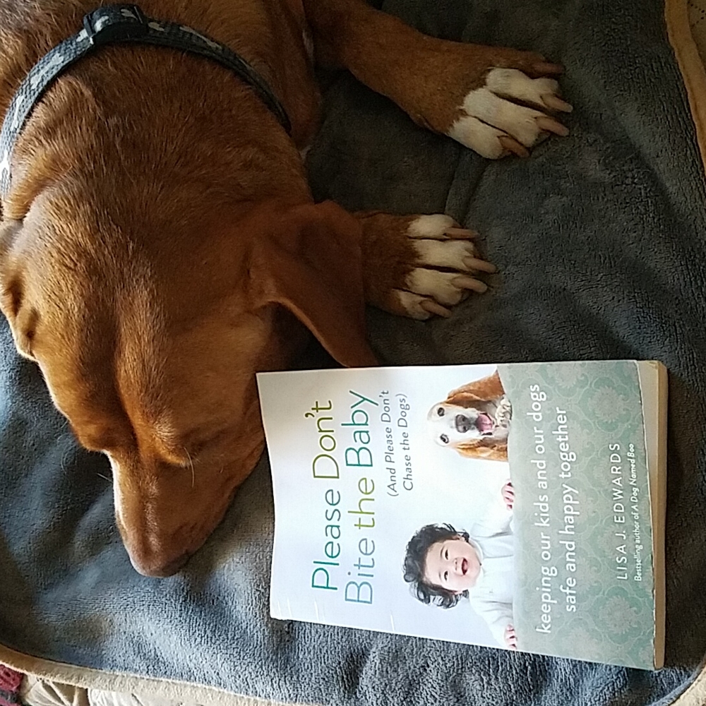 Please Don't Bite The Baby book